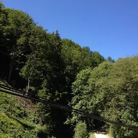 Ferienhaus Casa Non Nobis Dîmbovicioara