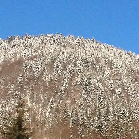 Casa Non Nobis Dîmbovicioara